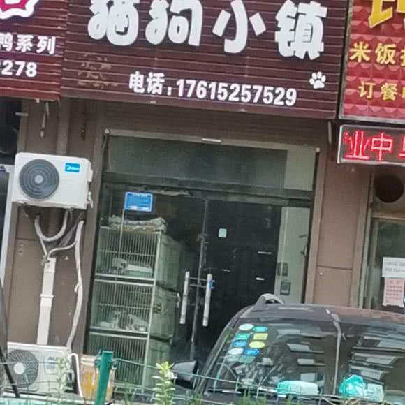 猫狗小镇:菏泽市单县