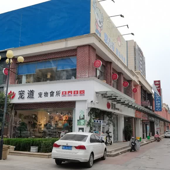 宠道宠物会所:菏泽市单县