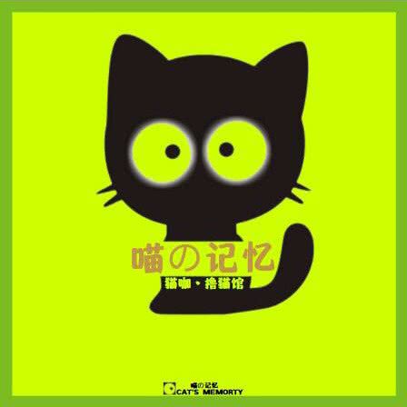 喵的记忆?猫咖?撸猫馆(第一分店):包头市昆都仑区科技大学南门附近