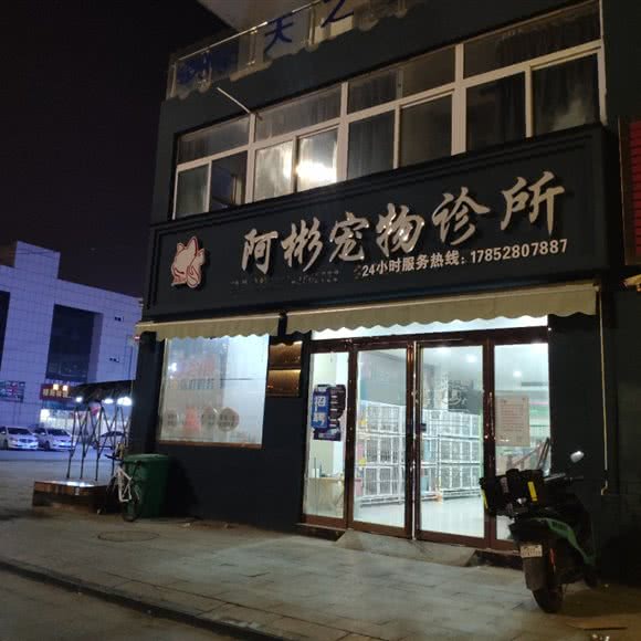 阿彬宠物诊所:菏泽市单县