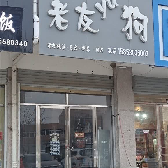 挚友yu狗:菏泽市成武县