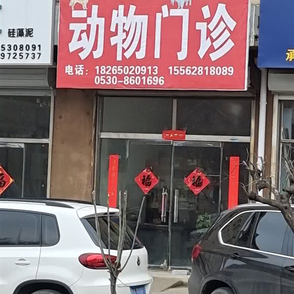 动物门诊:菏泽市成武县