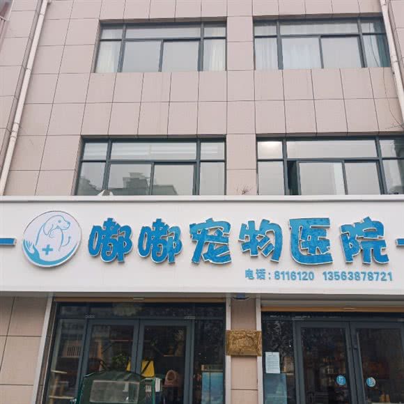 嘟嘟宠物医院:菏泽市巨野县