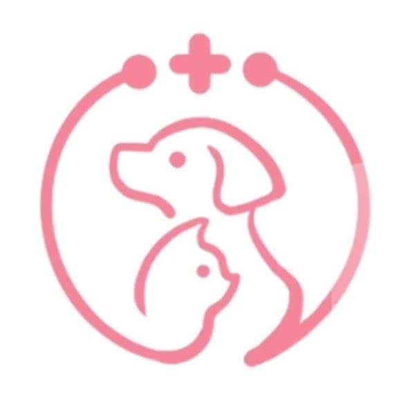 贝恩宠物诊疗中心:菏泽市郓城县