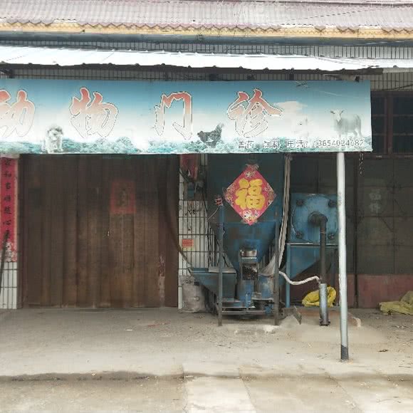 动物门诊:菏泽市鄄城县