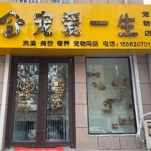宠爱人生宠物店:菏泽市东明县