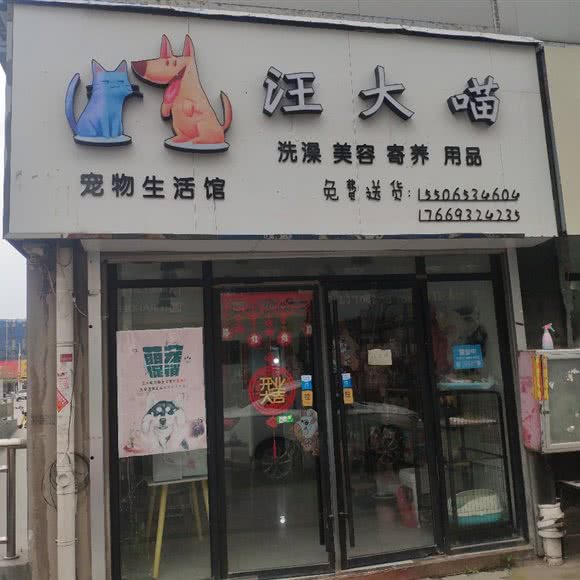 汪大喵:菏泽市东明县