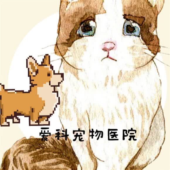 爱科动物诊所(青山区店):包头市青山区娜琳王府井附近