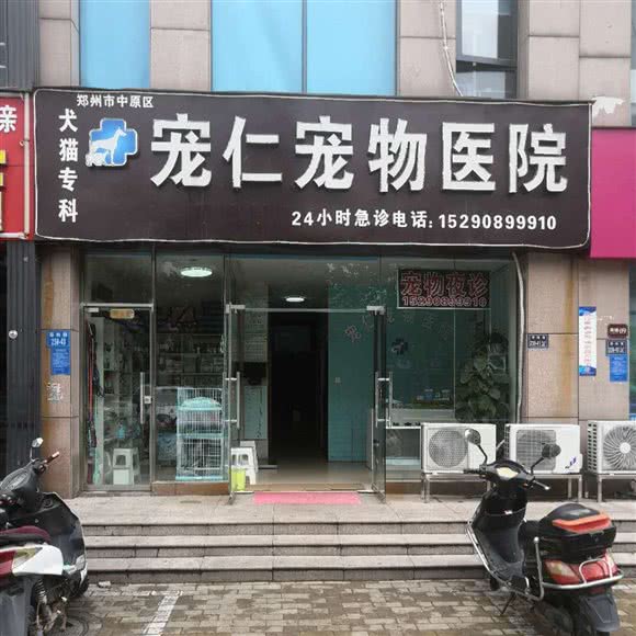 宠仁宠物医院:郑州市中原区
