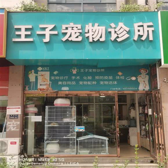 王子宠物诊所:郑州市金水区