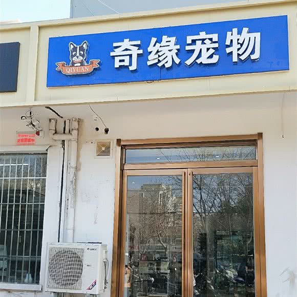 奇缘宠物:郑州市惠济区