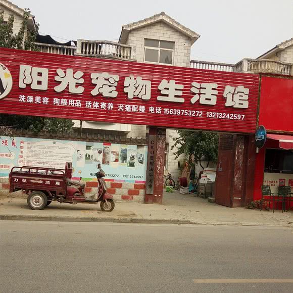 阳光宠物生活馆:郑州市中牟县