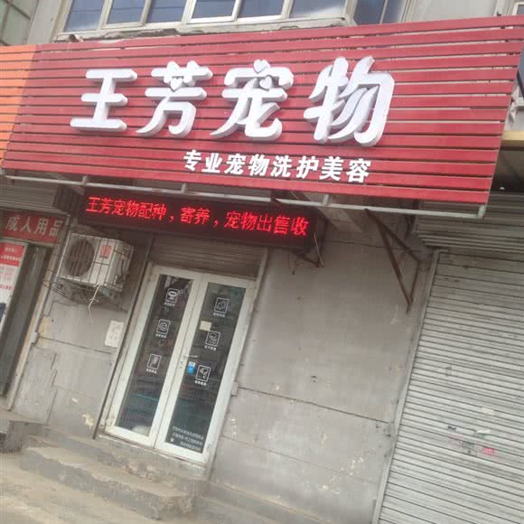 王芳宠物:郑州市中牟县