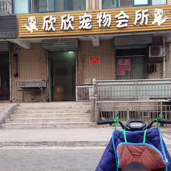 欣欣宠物会所:郑州市新密市