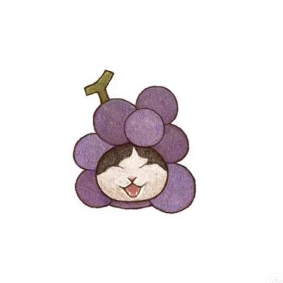 猫咪宠物馆:郑州市新郑市