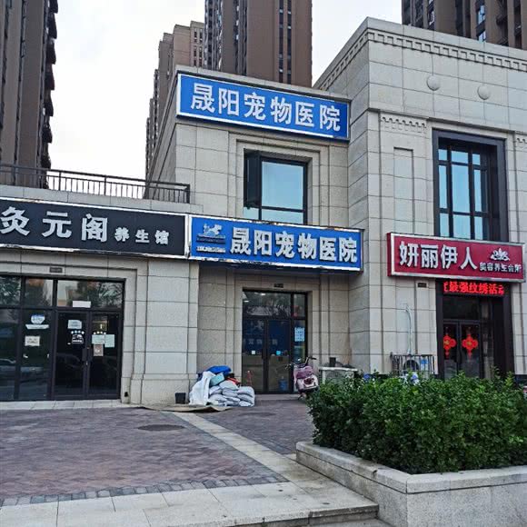 晟阳宠物医院:郑州市新郑市
