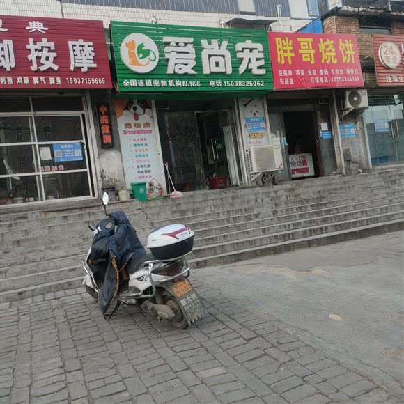 爱尚宠:郑州市登封市