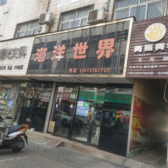 海洋世界:郑州市登封市