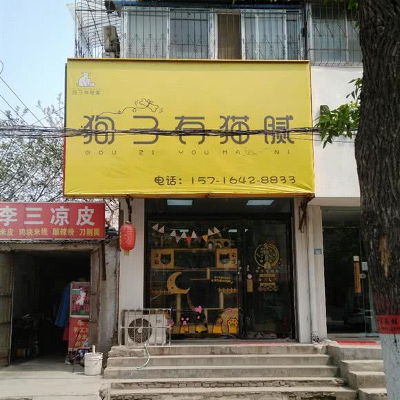 狗子有猫腻:开封市顺河回族区
