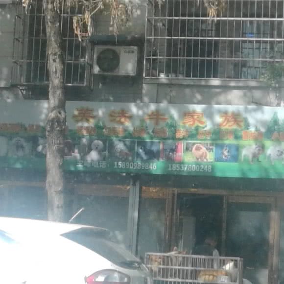 英法牛家族:开封市顺河回族区