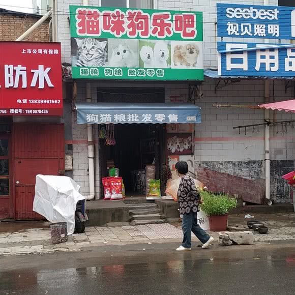 猫咪狗乐吧:开封市禹王台区