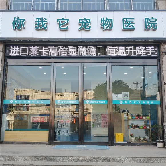 你我它宠物医院(你我它宠物医院西关店):开封市杞县