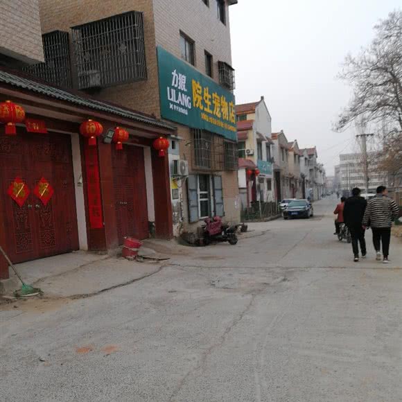 院生宠物店:开封市通许县
