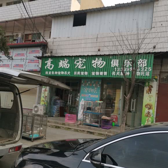 高端宠物俱乐部:开封市尉氏县