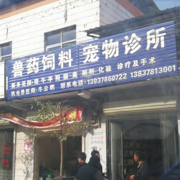 宠物诊所:开封市尉氏县