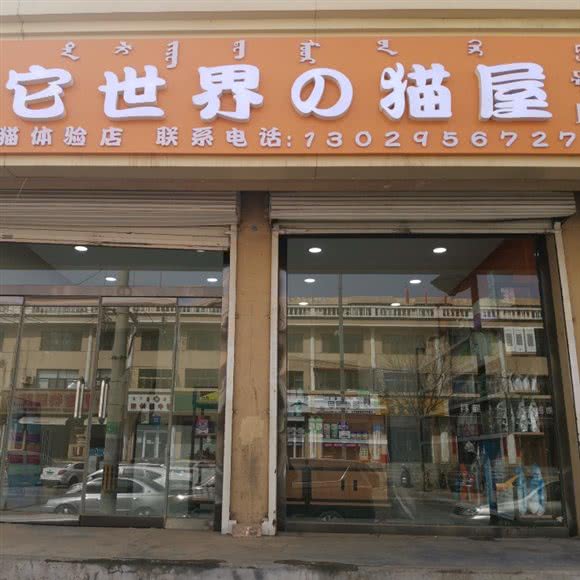 它世界猫屋(少先路店):包头市青山区民族东路附近