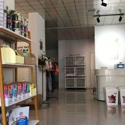 帕丁熊宠物游泳馆:开封市兰考县