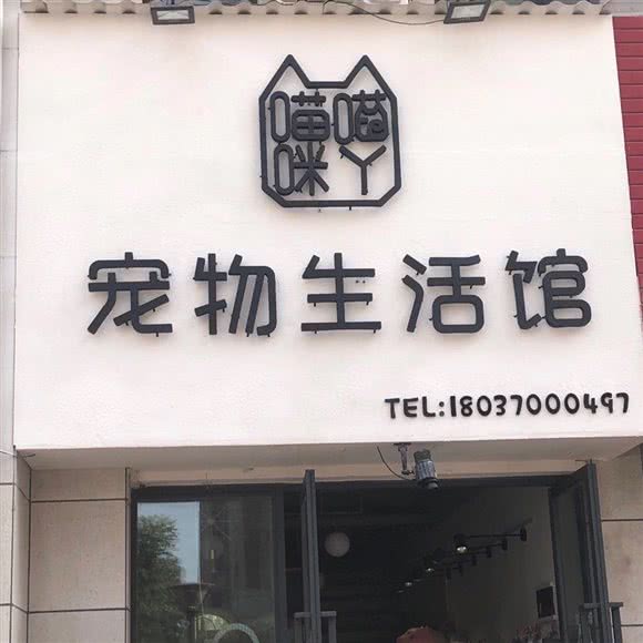 喵喵咪丫宠物狗生活馆:洛阳市西工区