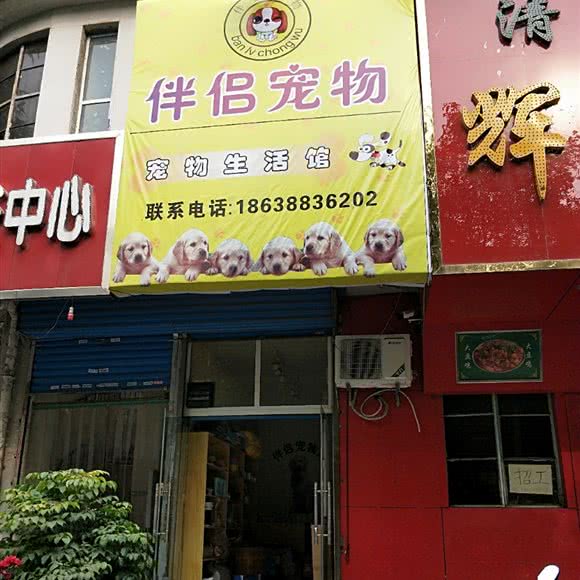 伴侣宠物 宠物生活馆:洛阳市瀍河回族区