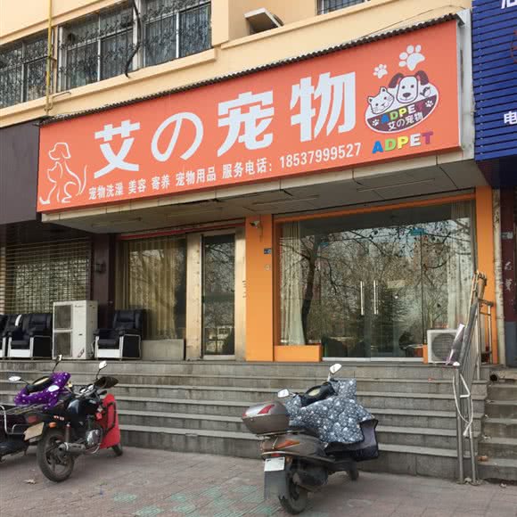 艾の宠物:洛阳市涧西区