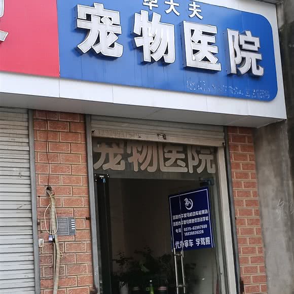 毕大夫宠物医院:洛阳市涧西区