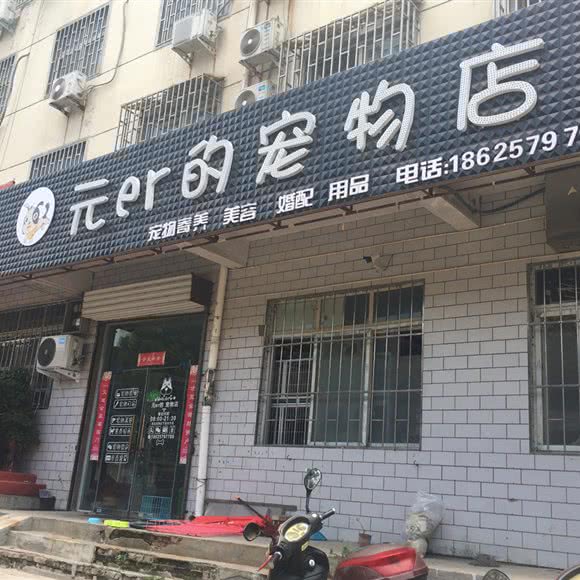 元er的宠物店:洛阳市孟津区