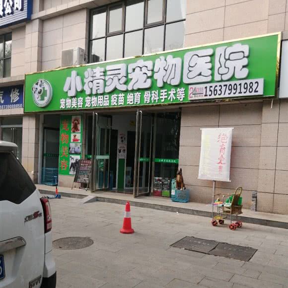 小精灵宠物医院:洛阳市洛龙区