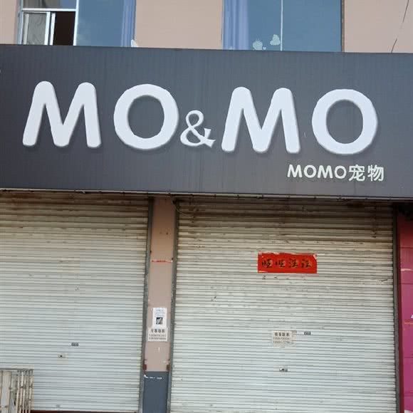 momo宠物:洛阳市新安县