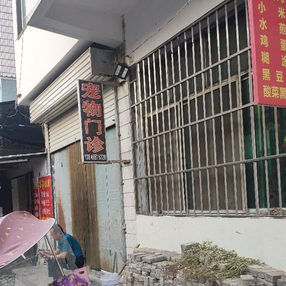 宠物门诊:洛阳市栾川县