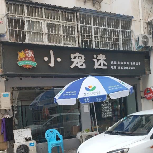 小宠迷:洛阳市嵩县