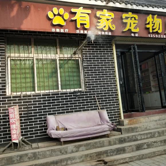 有家宠物店:洛阳市嵩县