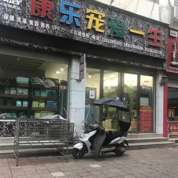 康乐宠爱一生:洛阳市嵩县