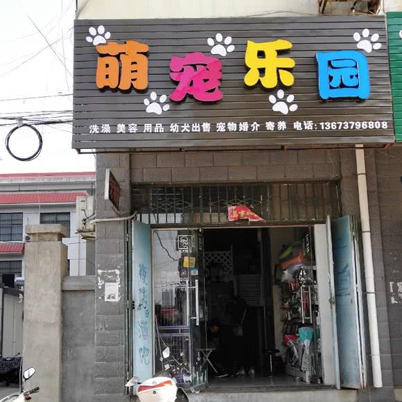 萌宠乐园(石磊街店):洛阳市嵩县