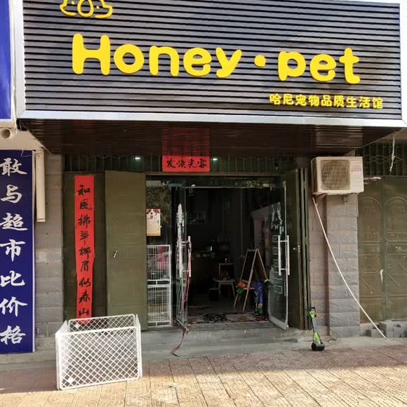 honey.pet:洛阳市嵩县