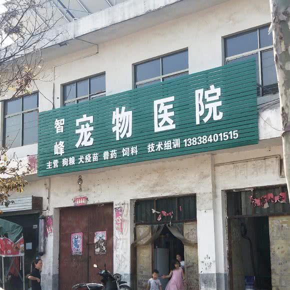 智峰宠物医院:洛阳市汝阳县