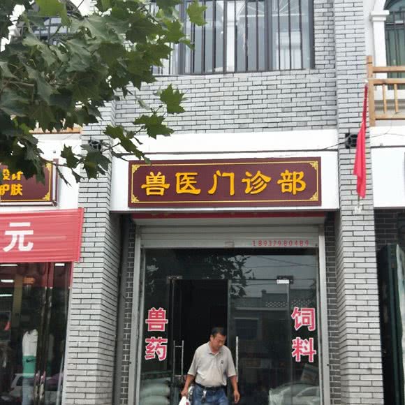 兽医门诊部:洛阳市汝阳县