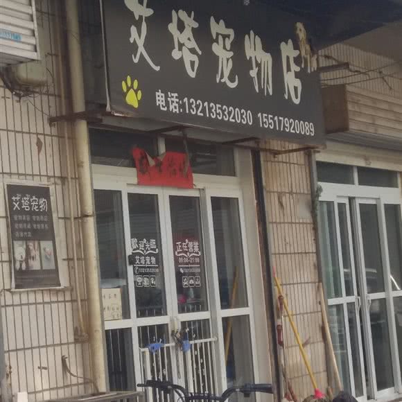 艾塔宠物店:洛阳市宜阳县