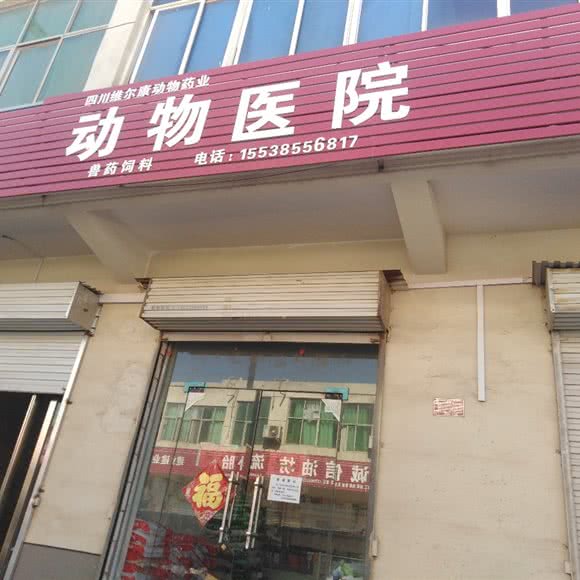 动物医院:洛阳市宜阳县