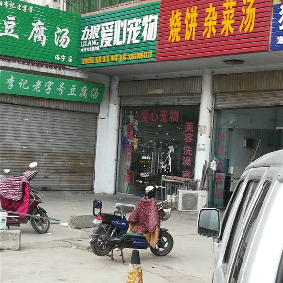 力狼爱心宠物:洛阳市洛宁县