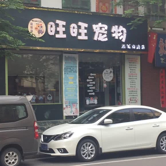 旺旺宠物(酒城南路店):洛阳市伊川县